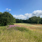 Green Fee | 18 Hole